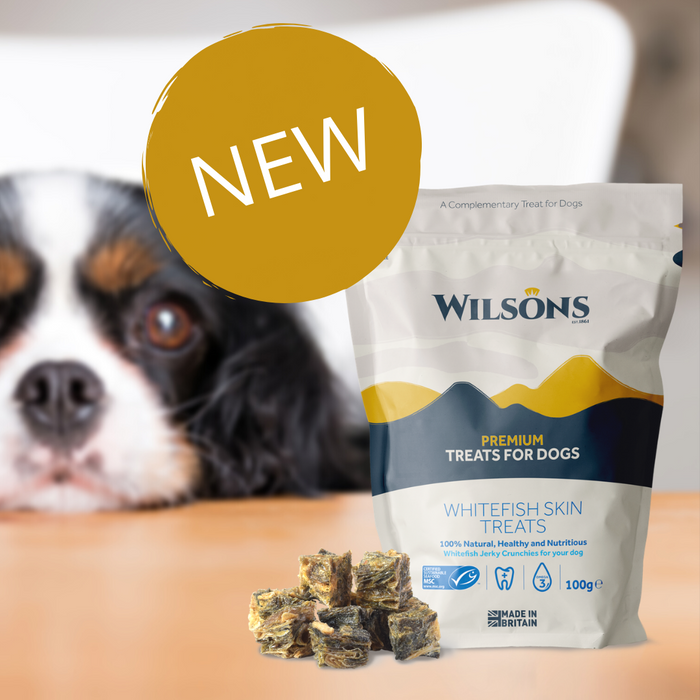 Wilsons Pet Food launches new Premium Dog Treats